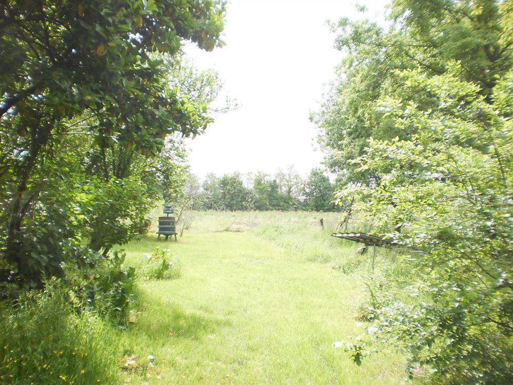 Green Fields Padova Exterior foto