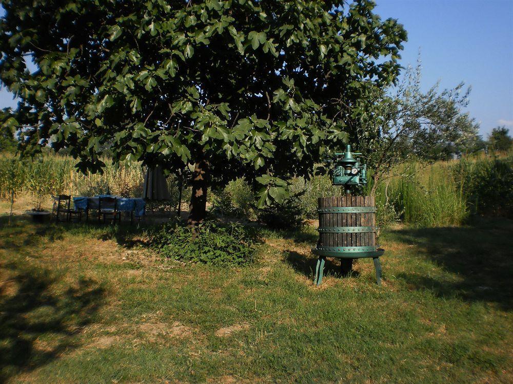 Green Fields Padova Exterior foto
